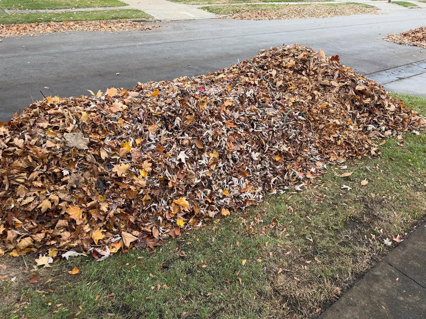 Seasonal yard and leaf cleanup services