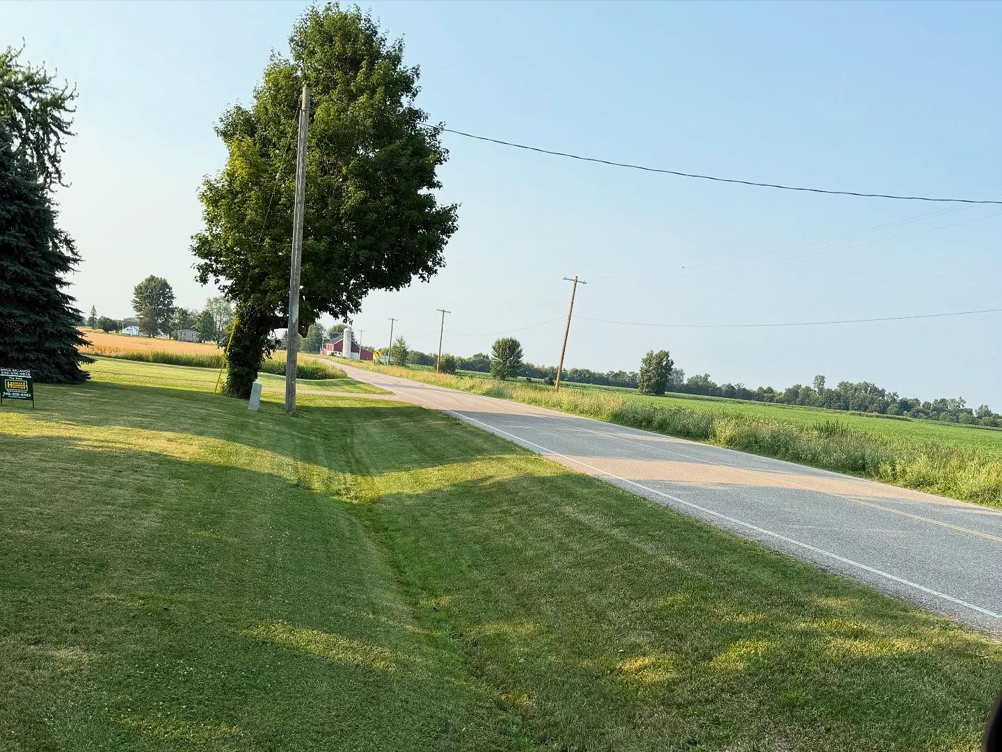 Professional lawn maintenance